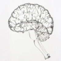 wire-brain